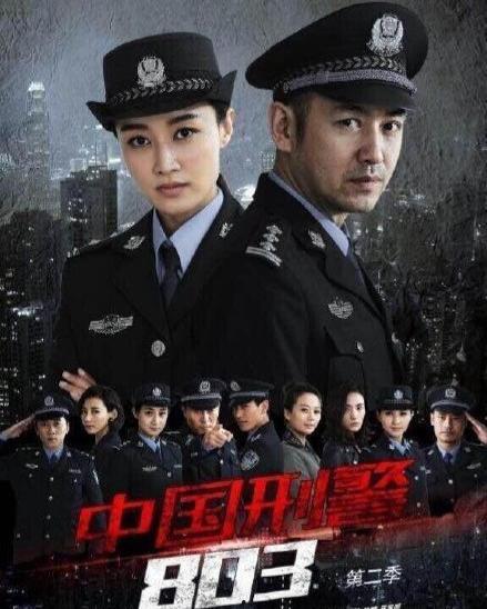 中国刑警803在线观看,揭秘罪案背后的真相